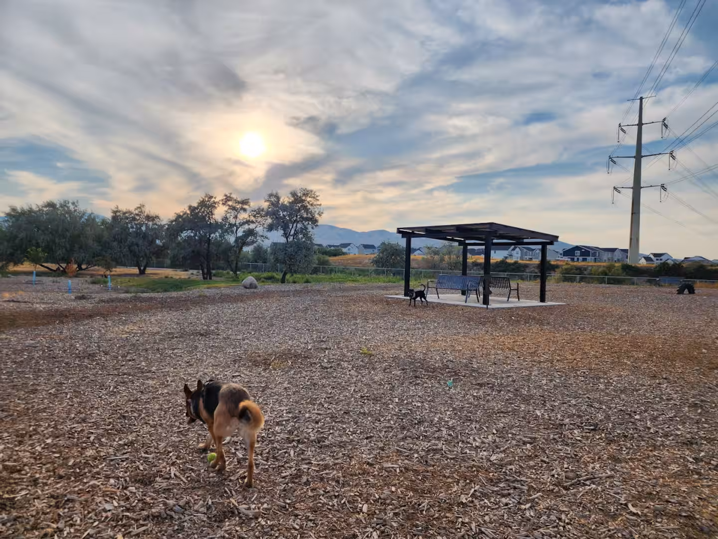 Dog park