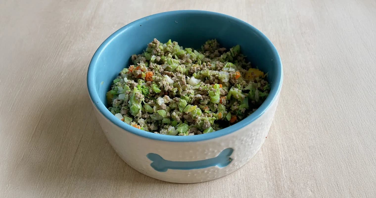 A bowl of fresh, homemade dog food with vegetables and meat.